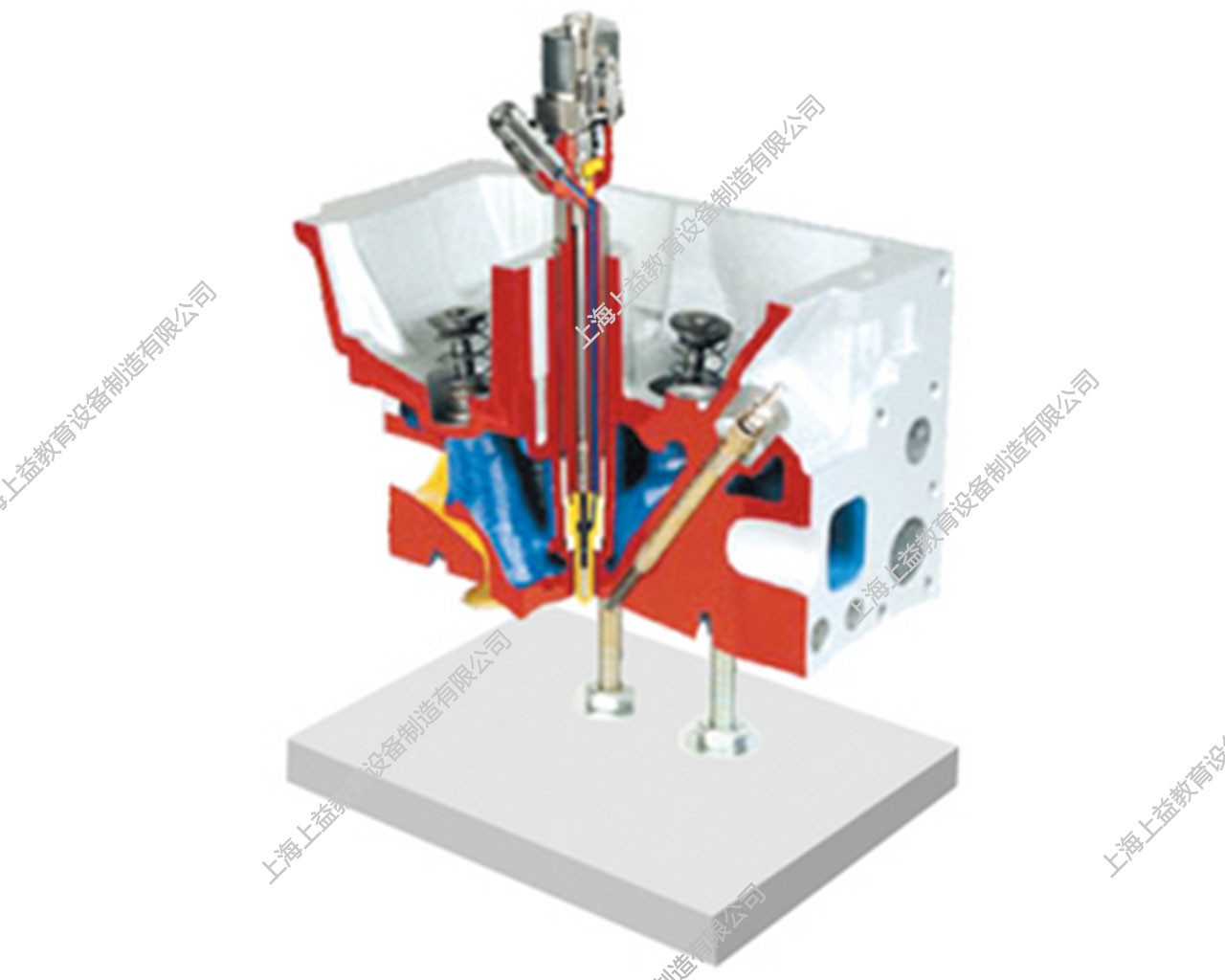 直噴式發(fā)動機(jī)氣缸蓋解剖模型